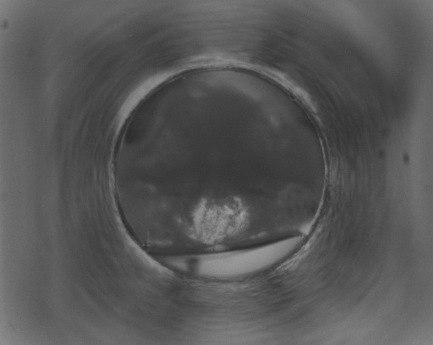 X0000070861239200606231245