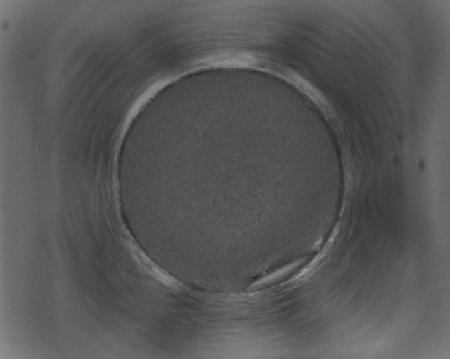 X0000070861240200606231245