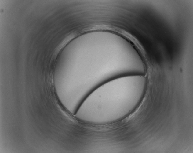 X0000070861241200606231245