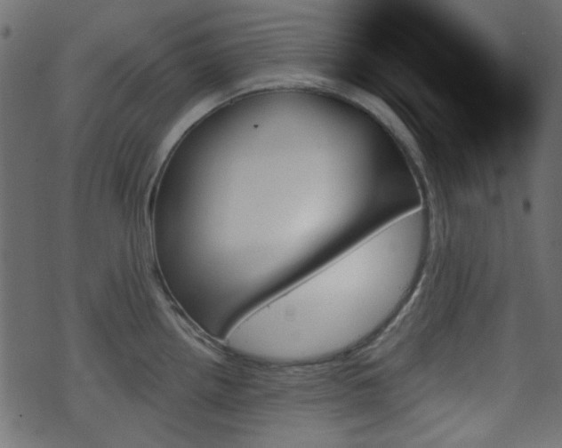 X0000070861242200606231245