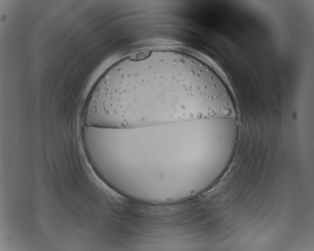 X0000070861243200606231245