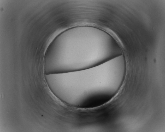 X0000070861244200606231245