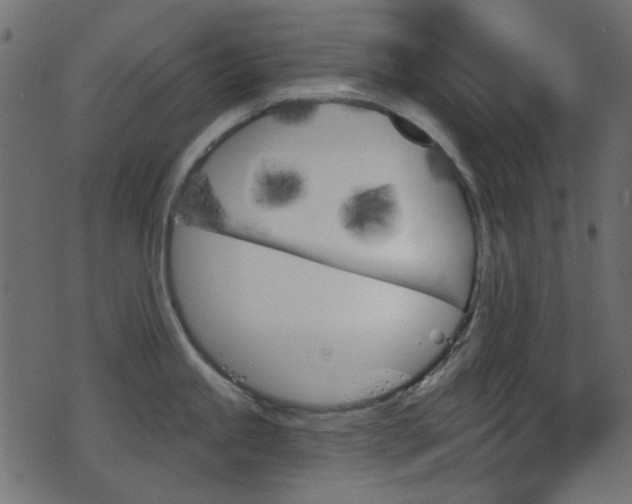 X0000070861245200606231245