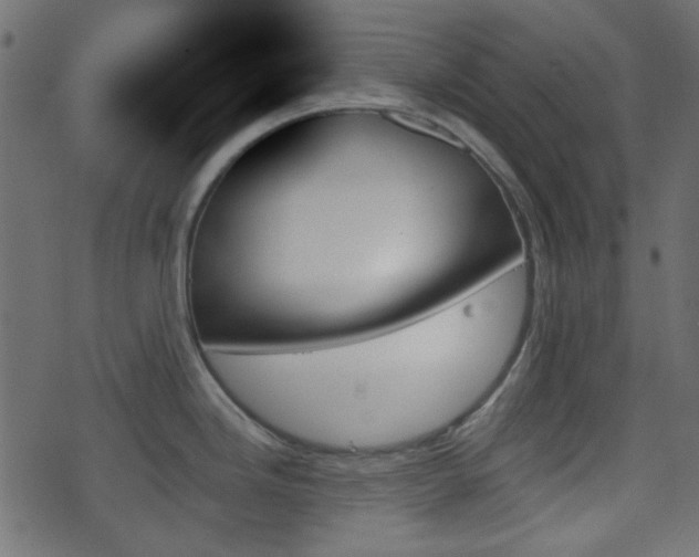 X0000070861246200606231245