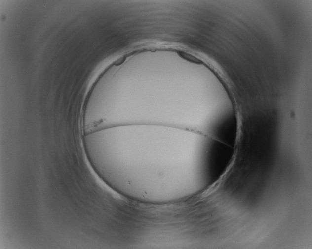 X0000070861247200606231245