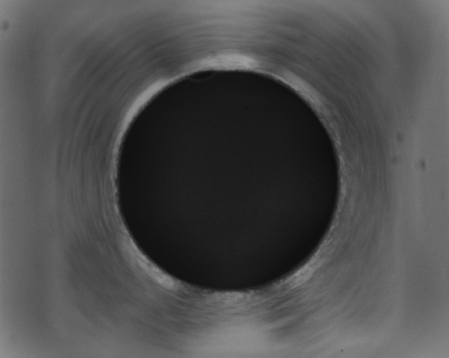 X0000070861248200606231245