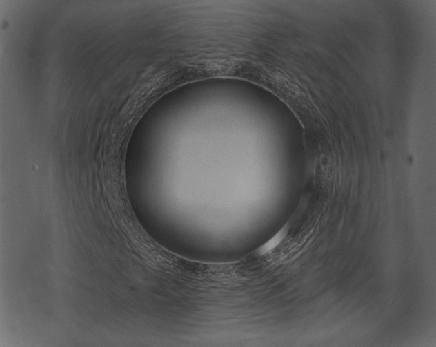 X0000070861249200606231244