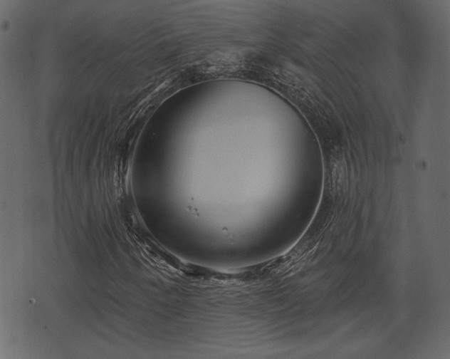 X0000070861250200606231244