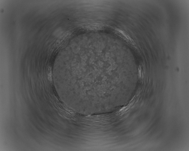 X0000070861251200606231244