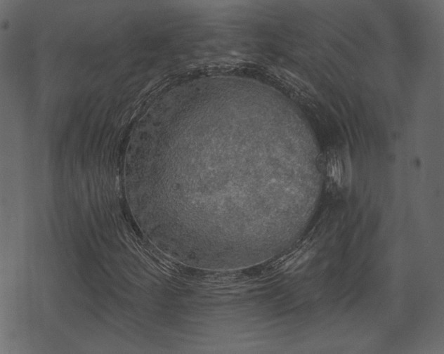 X0000070861252200606231244