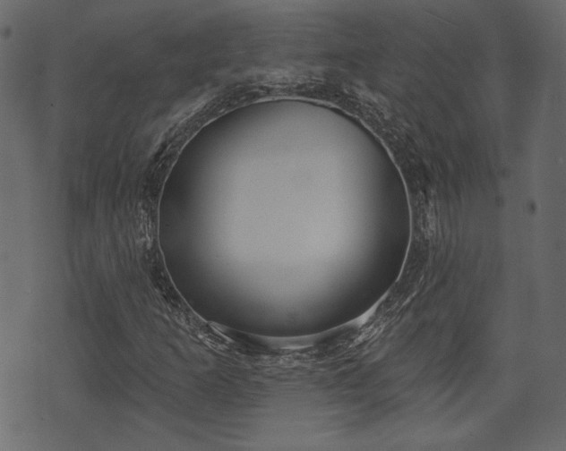 X0000070861253200606231244