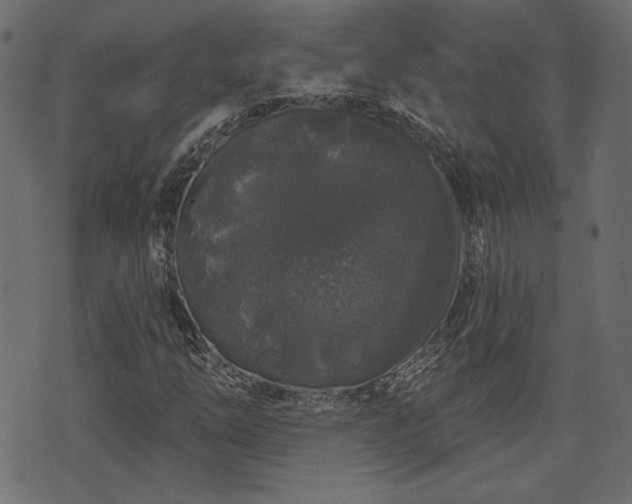 X0000070861254200606231244