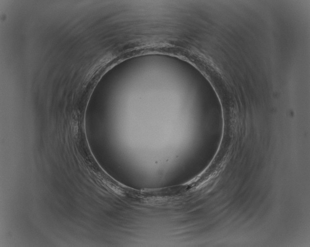 X0000070861257200606231244