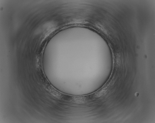 X0000070861258200606231244