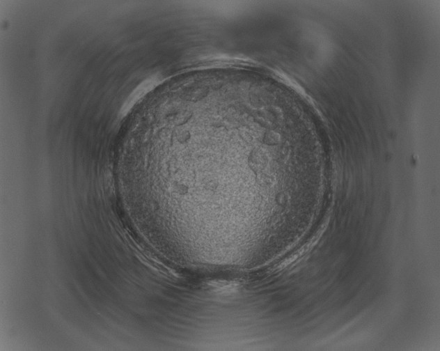 X0000070861259200606231244