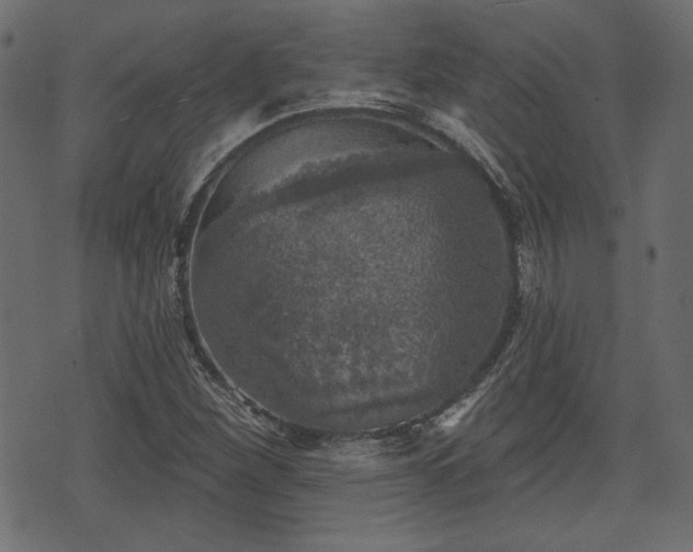 X0000070861260200606231244