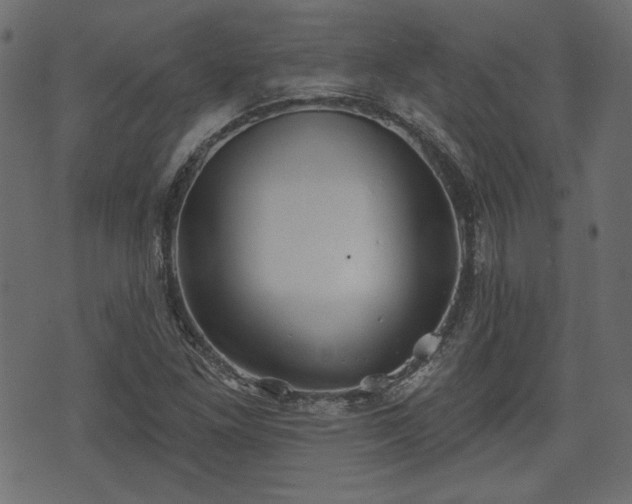 X0000070861261200606231244