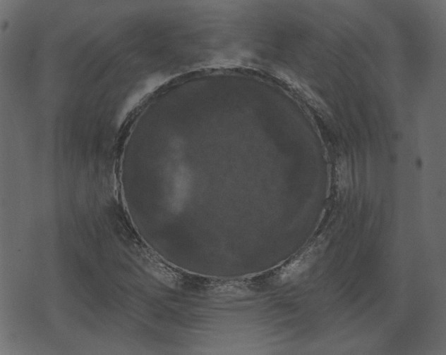 X0000070861262200606231244