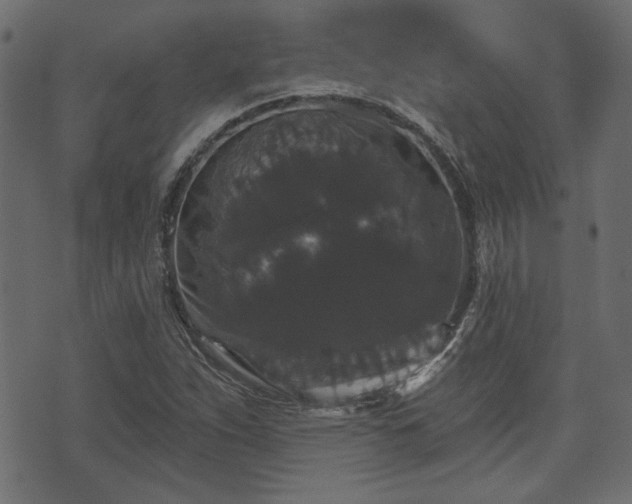 X0000070861263200606231244