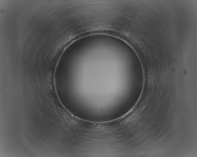 X0000070861265200606231244