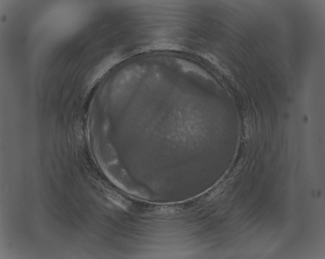 X0000070861266200606231244