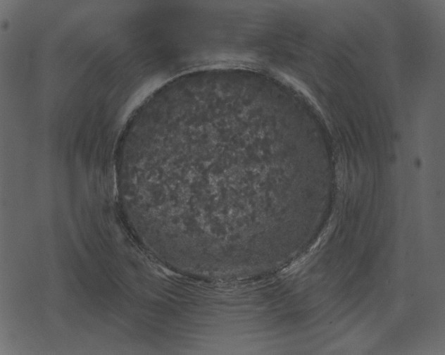 X0000070861267200606231244