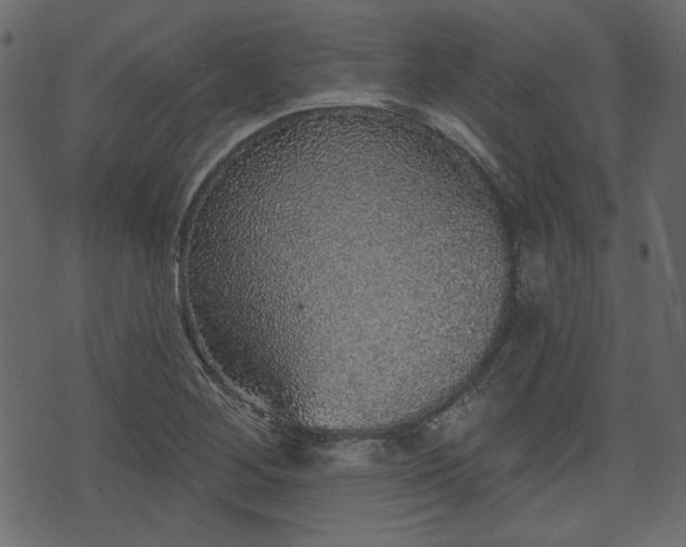 X0000070861268200606231244