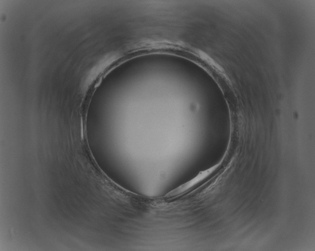 X0000070861269200606231244