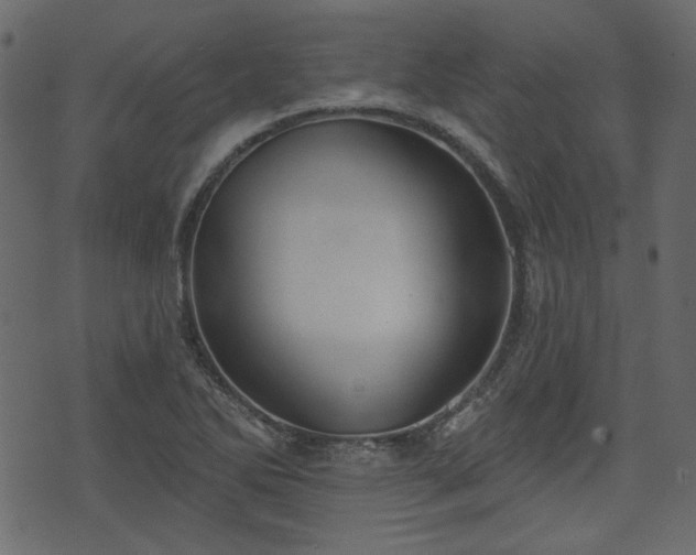 X0000070861270200606231244