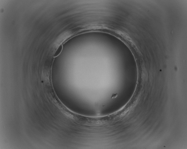 X0000070861273200606231244