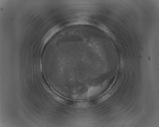 X0000070861274200606231244