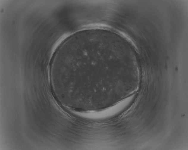 X0000070861275200606231244