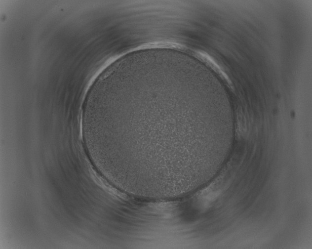 X0000070861276200606231244