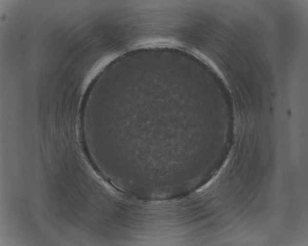 X0000070861277200606231244