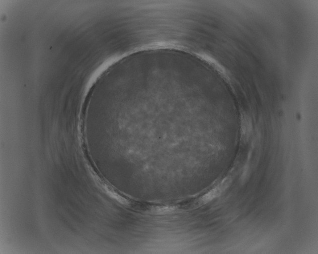 X0000070861278200606231244