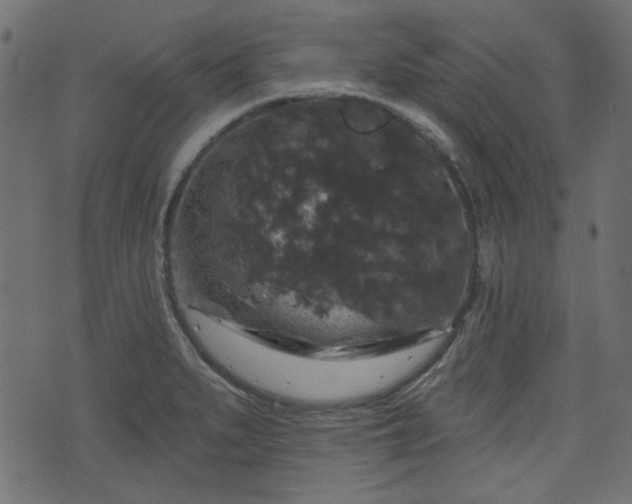 X0000070861279200606231244