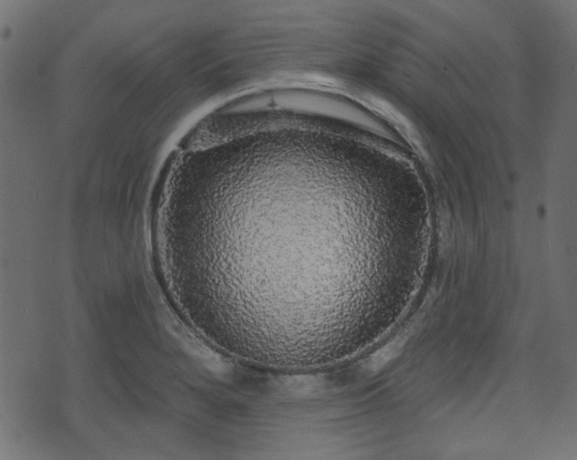 X0000070861280200606231244