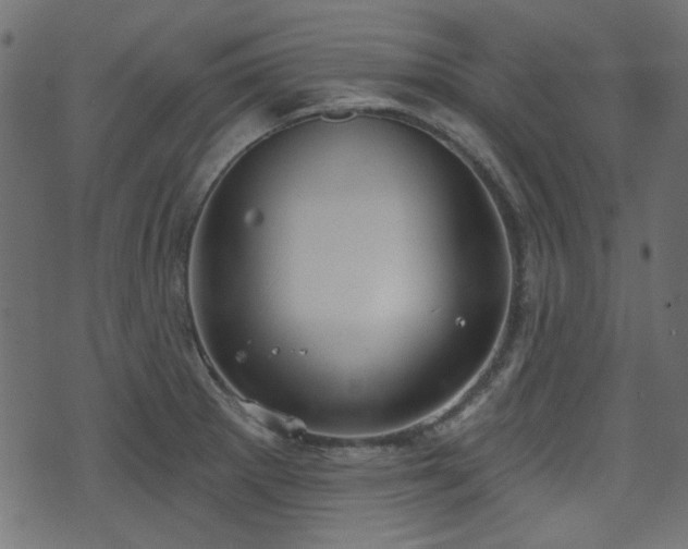 X0000070861281200606231244