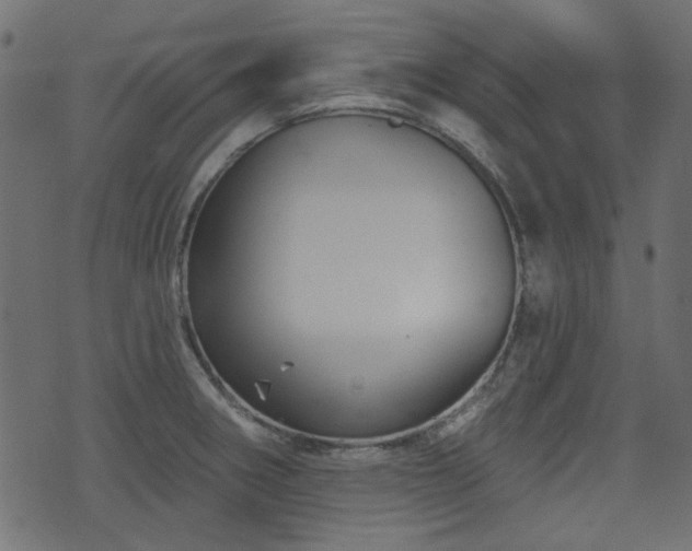 X0000070861282200606231244