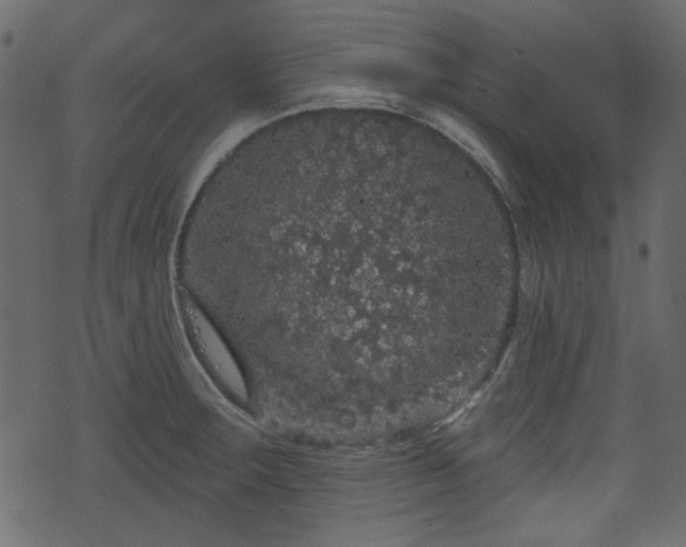 X0000070861283200606231244