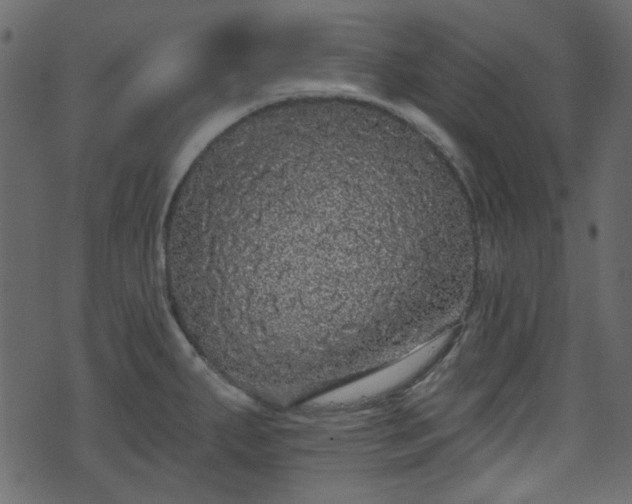 X0000070861287200606231243