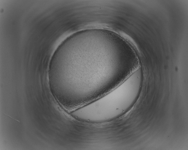 X0000070861288200606231243