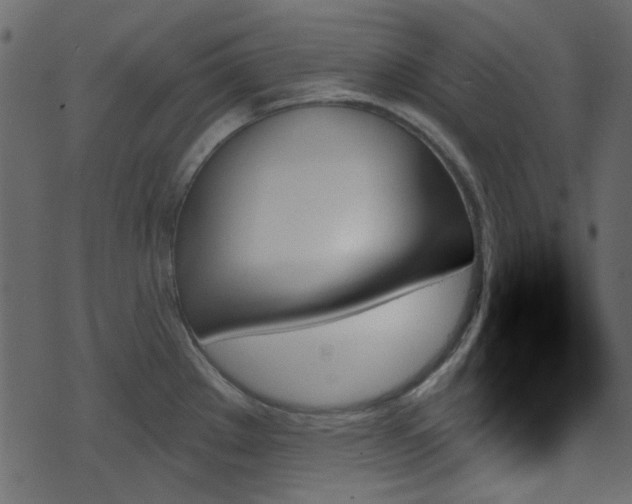 X0000070861289200606231243