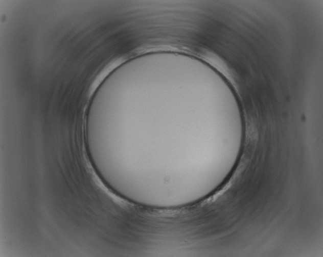 X0000070861290200606231243