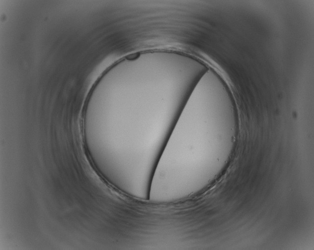 X0000070861291200606231243