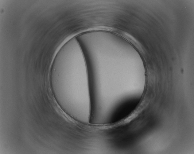 X0000070861292200606231243