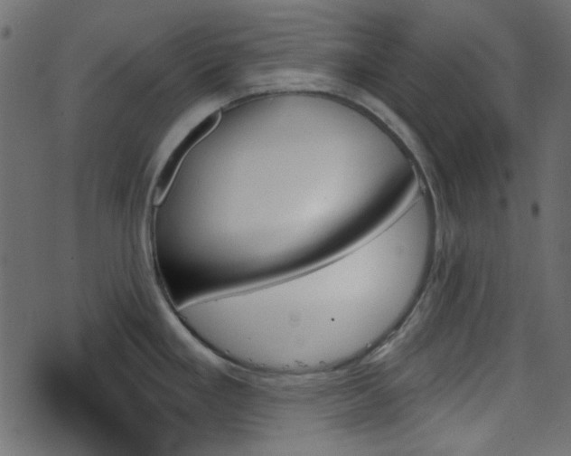 X0000070861293200606231243