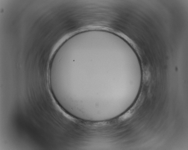 X0000070861294200606231243