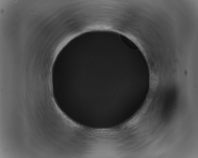 X0000070861295200606231243