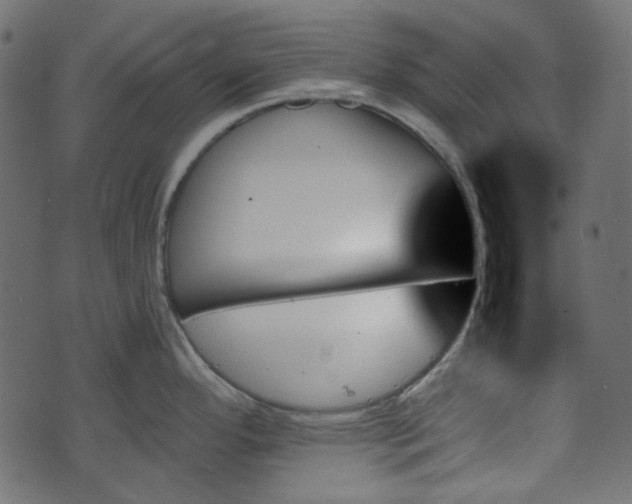 X0000070861296200606231243